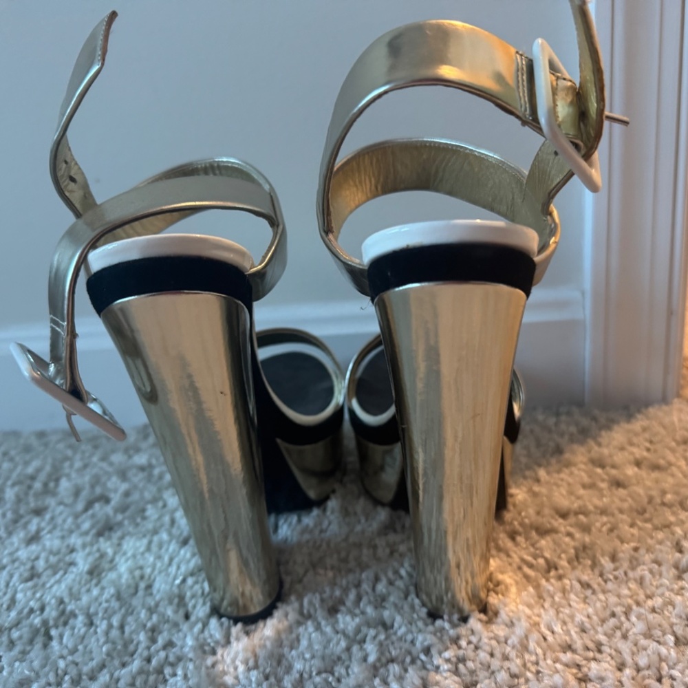Giuseppe Zanotti - Picture 4 of 6